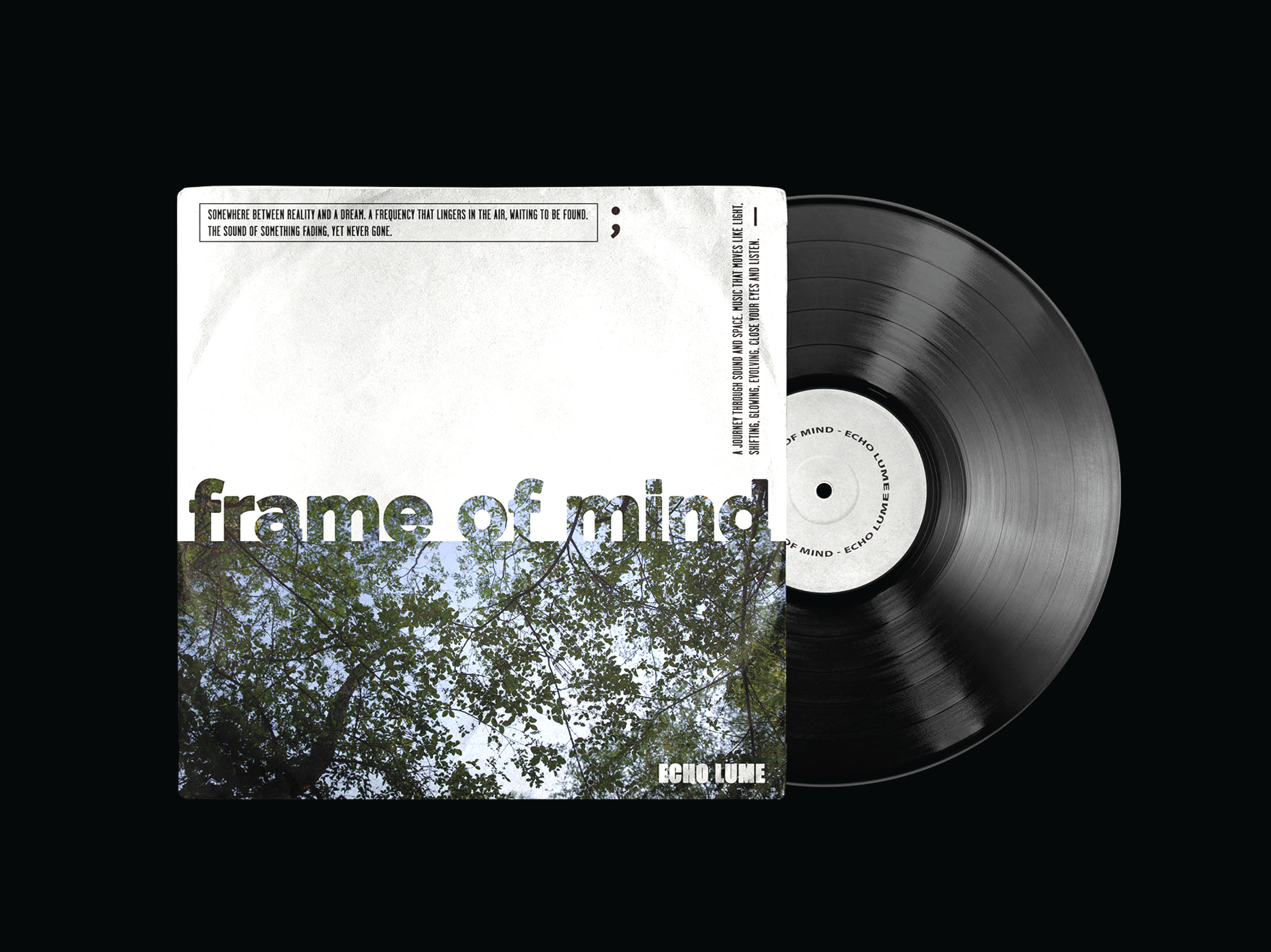 Campaign vinyl record design