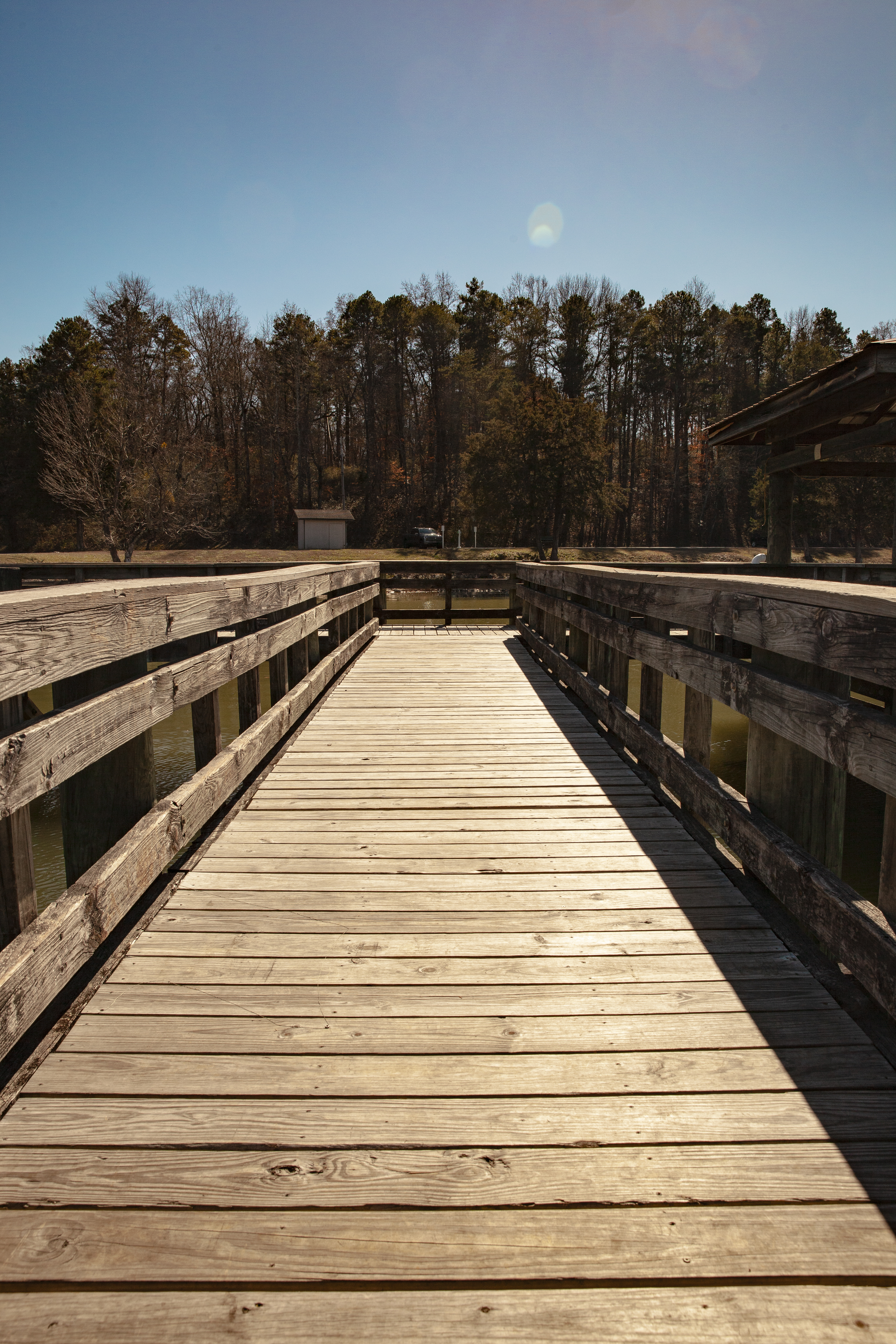 Graphic Design Work 3