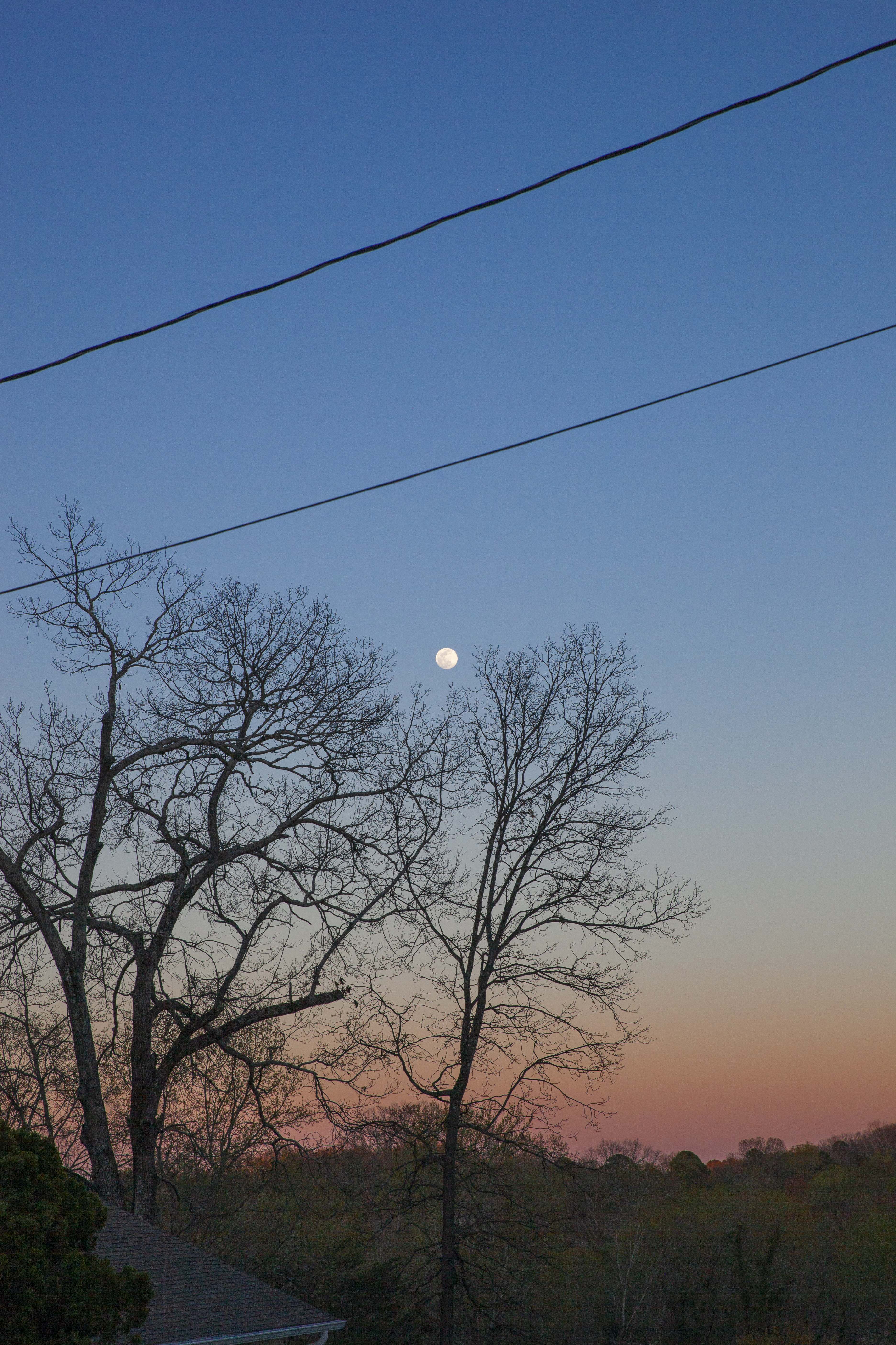 Graphic Design Work 4